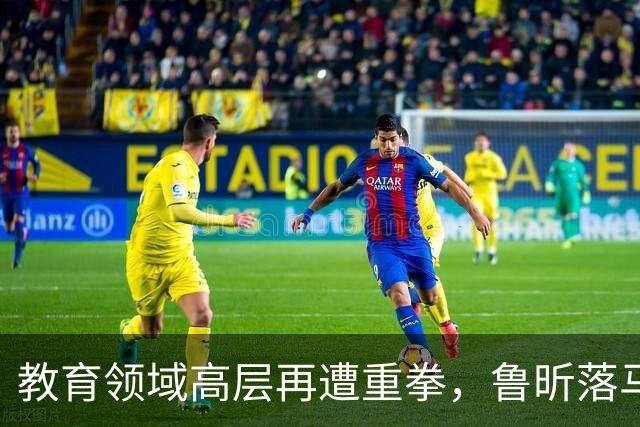 教育领域高层再遭重拳，鲁昕落马引发广泛关注
