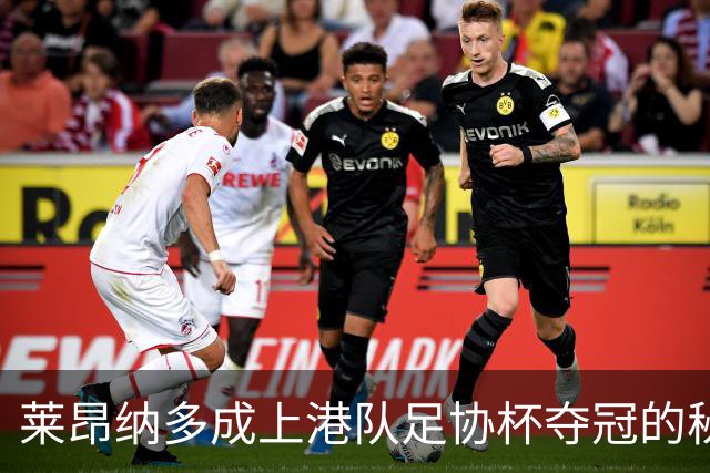 莱昂纳多成上港队足协杯夺冠的秘密武器，球迷热切期待
