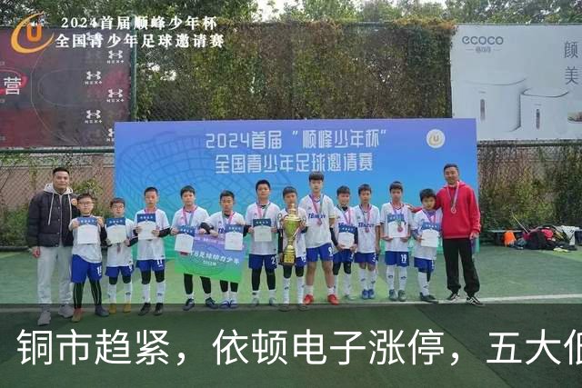 铜市趋紧，依顿电子涨停，五大低估值绩优股值得关注